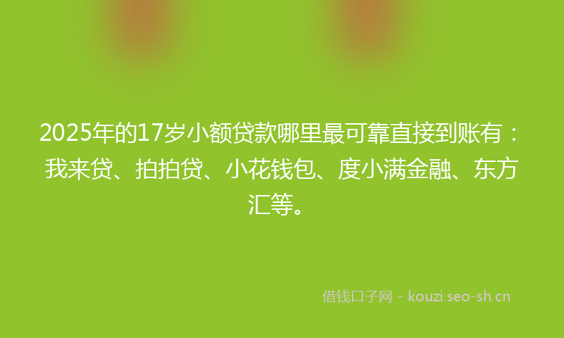 2025年的17岁小额贷款哪里最可靠直接到账有：我来贷、拍拍贷、小花钱包、度小满金融、东方汇等。