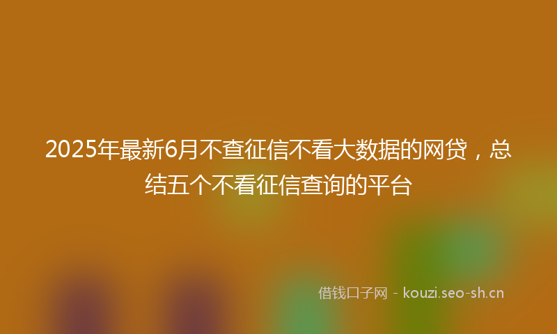 2025年最新6月不查征信不看大数据的网贷，总结五个不看征信查询的平台
