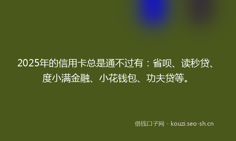 2025年的信用卡总是通不过有：省呗、读秒贷、度小满金融、小花钱包、功夫贷等。