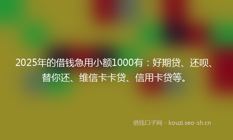 2025年的借钱急用小额1000有：好期贷、还呗、替你还、维信卡卡贷、信用卡贷等。