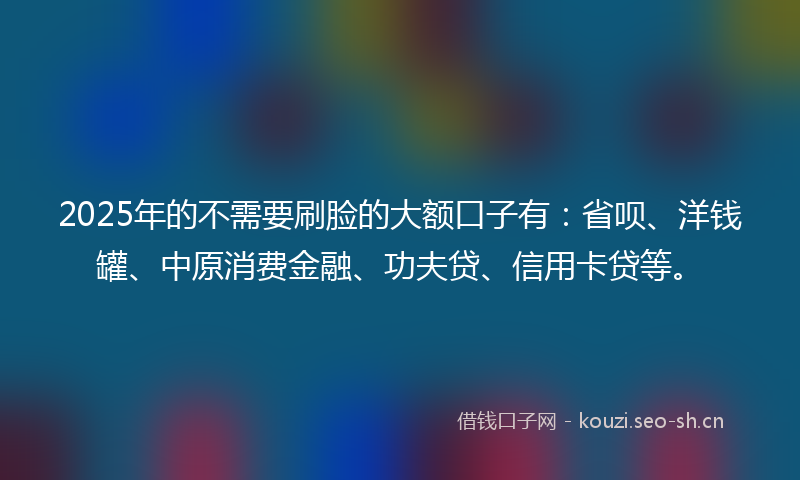 2025年的不需要刷脸的大额口子有：省呗、洋钱罐、中原消费金融、功夫贷、信用卡贷等。
