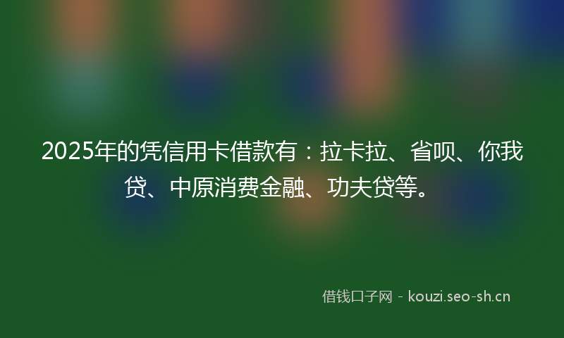 2025年的凭信用卡借款有：拉卡拉、省呗、你我贷、中原消费金融、功夫贷等。