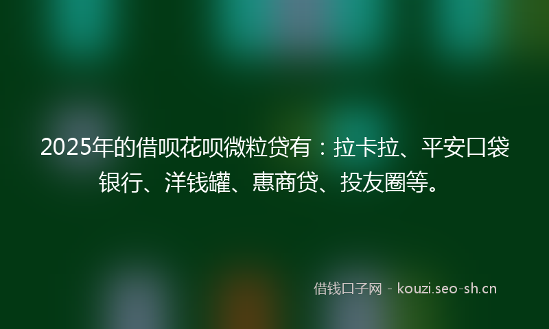 2025年的借呗花呗微粒贷有：拉卡拉、平安口袋银行、洋钱罐、惠商贷、投友圈等。