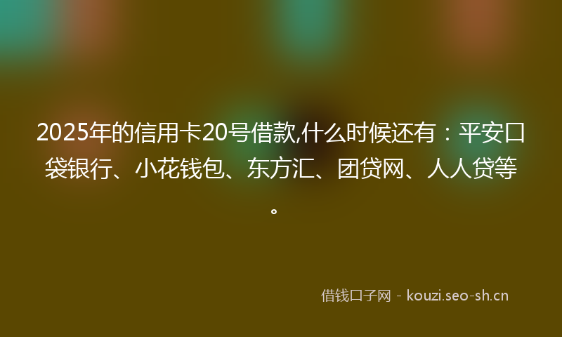 2025年的信用卡20号借款,什么时候还有：平安口袋银行、小花钱包、东方汇、团贷网、人人贷等。