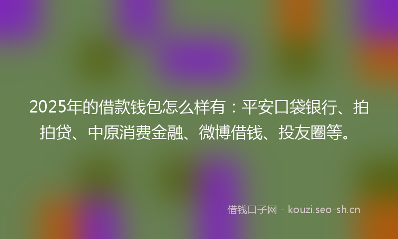 2025年的借款钱包怎么样有：平安口袋银行、拍拍贷、中原消费金融、微博借钱、投友圈等。