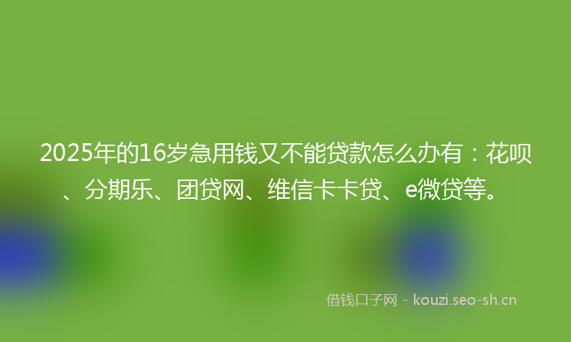 2025年的16岁急用钱又不能贷款怎么办有：花呗、分期乐、团贷网、维信卡卡贷、e微贷等。