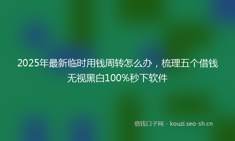 2025年最新临时用钱周转怎么办，梳理五个借钱无视黑白100%秒下软件