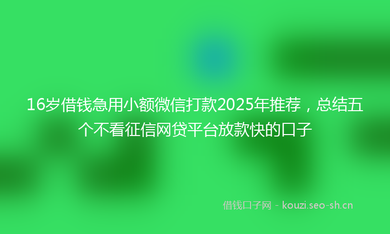 16岁借钱急用小额微信打款2025年推荐，总结五个不看征信网贷平台放款快的口子