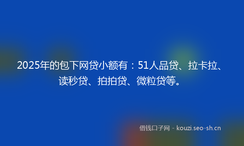 2025年的包下网贷小额有：51人品贷、拉卡拉、读秒贷、拍拍贷、微粒贷等。