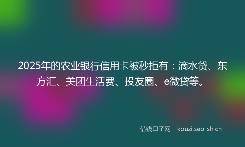 2025年的农业银行信用卡被秒拒有:滴水贷、东方汇、美团生活费、投友圈、e微贷等。