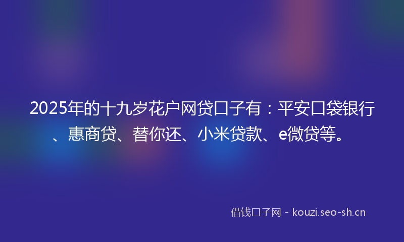2025年的十九岁花户网贷口子有：平安口袋银行、惠商贷、替你还、小米贷款、e微贷等。
