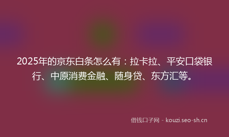 2025年的京东白条怎么有：拉卡拉、平安口袋银行、中原消费金融、随身贷、东方汇等。