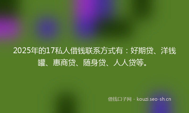 2025年的17私人借钱联系方式有：好期贷、洋钱罐、惠商贷、随身贷、人人贷等。