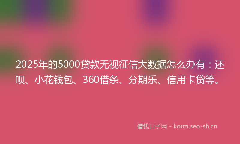 2025年的5000贷款无视征信大数据怎么办有：还呗、小花钱包、360借条、分期乐、信用卡贷等。