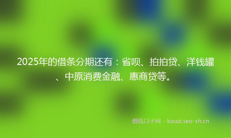2025年的借条分期还有：省呗、拍拍贷、洋钱罐、中原消费金融、惠商贷等。