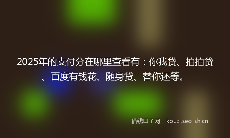2025年的支付分在哪里查看有：你我贷、拍拍贷、百度有钱花、随身贷、替你还等。