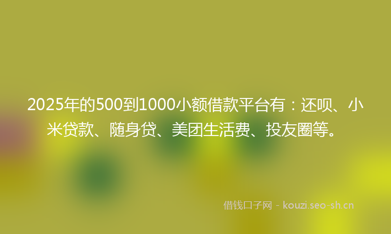 2025年的500到1000小额借款平台有：还呗、小米贷款、随身贷、美团生活费、投友圈等。