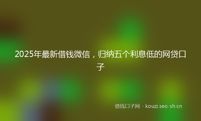 2025年最新借钱微信，归纳五个利息低的网贷口子