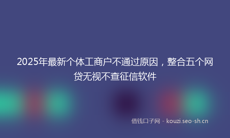 2025年最新个体工商户不通过原因，整合五个网贷无视不查征信软件