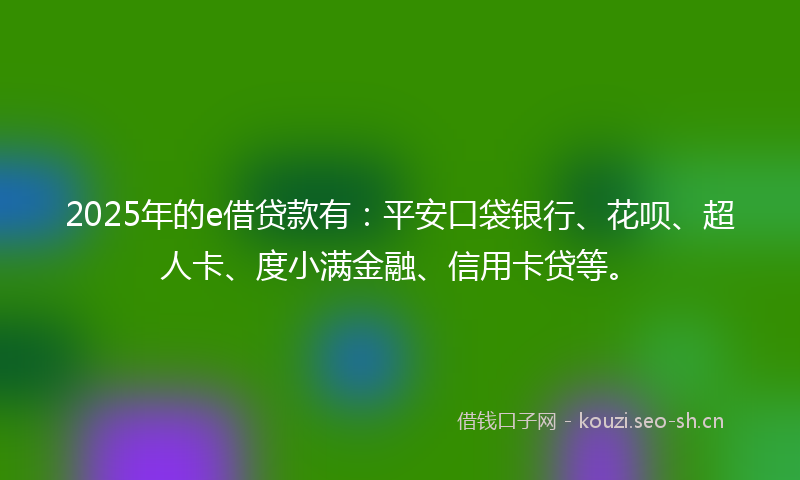2025年的e借贷款有：平安口袋银行、花呗、超人卡、度小满金融、信用卡贷等。