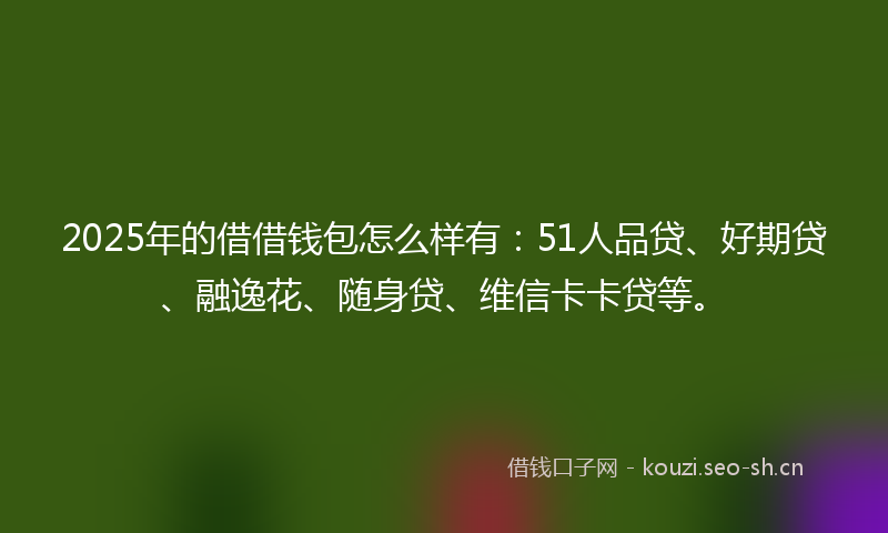 2025年的借借钱包怎么样有：51人品贷、好期贷、融逸花、随身贷、维信卡卡贷等。