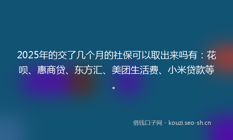 2025年的交了几个月的社保可以取出来吗有：花呗、惠商贷、东方汇、美团生活费、小米贷款等。