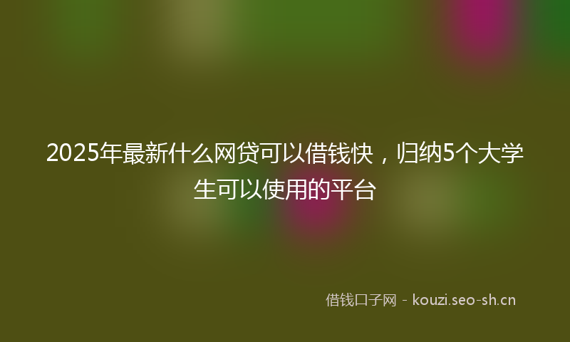 2025年最新什么网贷可以借钱快，归纳5个大学生可以使用的平台