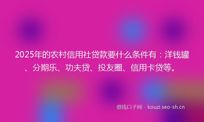 2025年的农村信用社贷款要什么条件有：洋钱罐、分期乐、功夫贷、投友圈、信用卡贷等。