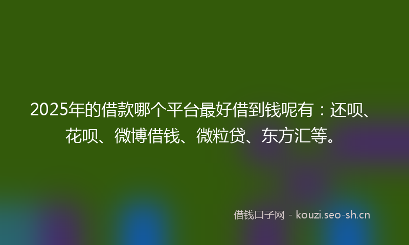 2025年的借款哪个平台最好借到钱呢有：还呗、花呗、微博借钱、微粒贷、东方汇等。