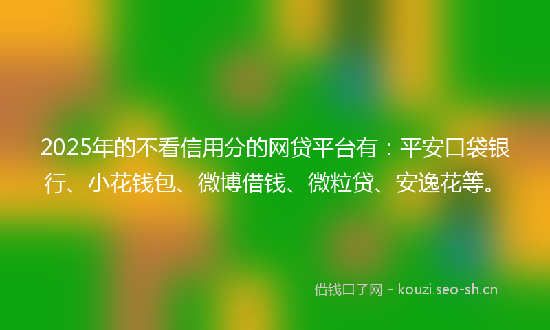2025年的不看信用分的网贷平台有：平安口袋银行、小花钱包、微博借钱、微粒贷、安逸花等。