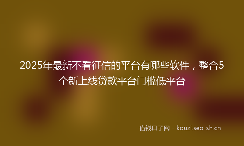 2025年最新不看征信的平台有哪些软件，整合5个新上线贷款平台门槛低平台