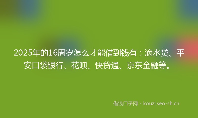 2025年的16周岁怎么才能借到钱有：滴水贷、平安口袋银行、花呗、快贷通、京东金融等。