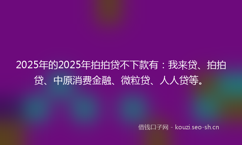 2025年的2025年拍拍贷不下款有：我来贷、拍拍贷、中原消费金融、微粒贷、人人贷等。