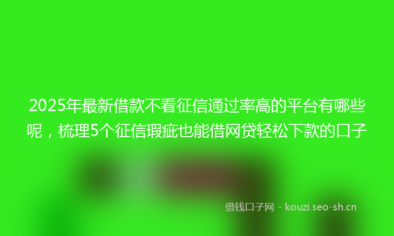 2025年最新借款不看征信通过率高的平台有哪些呢，梳理5个征信瑕疵也能借网贷轻松下款的口子