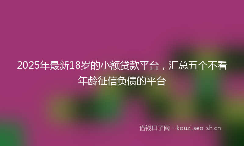 2025年最新18岁的小额贷款平台，汇总五个不看年龄征信负债的平台