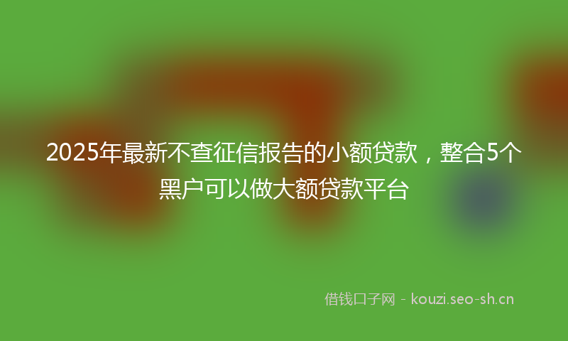 2025年最新不查征信报告的小额贷款，整合5个黑户可以做大额贷款平台