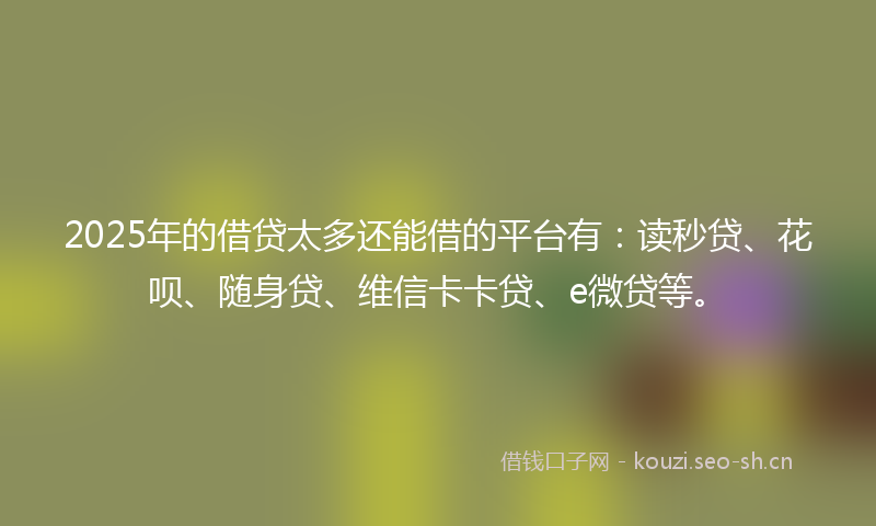 2025年的借贷太多还能借的平台有：读秒贷、花呗、随身贷、维信卡卡贷、e微贷等。