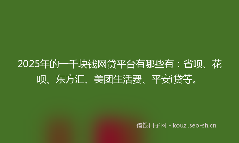 2025年的一千块钱网贷平台有哪些有：省呗、花呗、东方汇、美团生活费、平安i贷等。