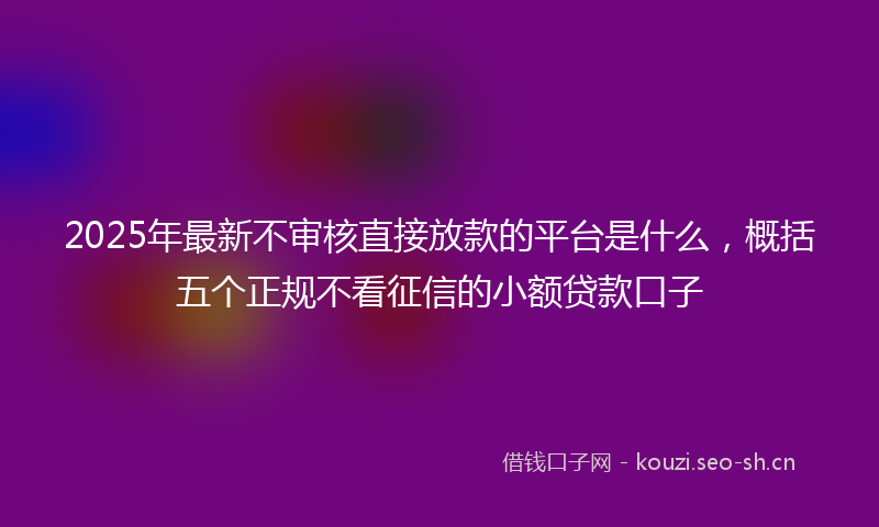 2025年最新不审核直接放款的平台是什么，概括五个正规不看征信的小额贷款口子