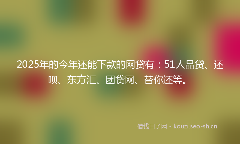 2025年的今年还能下款的网贷有：51人品贷、还呗、东方汇、团贷网、替你还等。