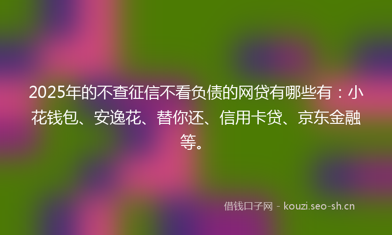 2025年的不查征信不看负债的网贷有哪些有：小花钱包、安逸花、替你还、信用卡贷、京东金融等。