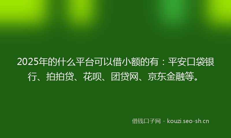 2025年的什么平台可以借小额的有：平安口袋银行、拍拍贷、花呗、团贷网、京东金融等。