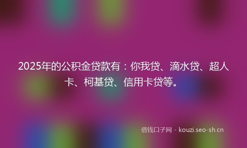 2025年的公积金贷款有：你我贷、滴水贷、超人卡、柯基贷、信用卡贷等。