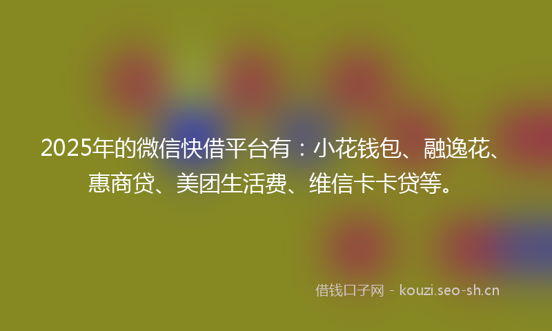 2025年的微信快借平台有：小花钱包、融逸花、惠商贷、美团生活费、维信卡卡贷等。