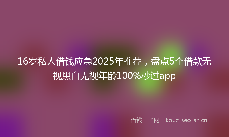 16岁私人借钱应急2025年推荐，盘点5个借款无视黑白无视年龄100%秒过app