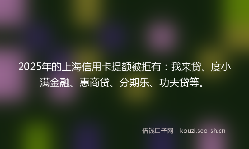 2025年的上海信用卡提额被拒有：我来贷、度小满金融、惠商贷、分期乐、功夫贷等。
