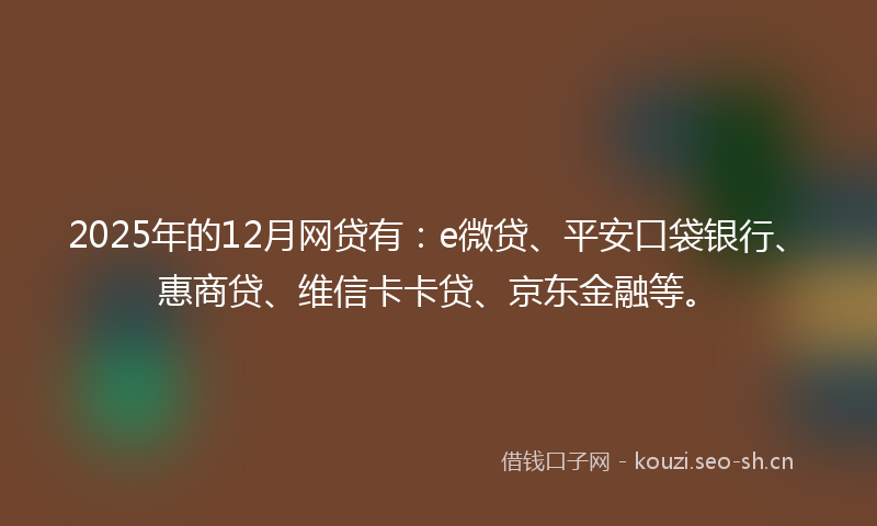 2025年的12月网贷有：e微贷、平安口袋银行、惠商贷、维信卡卡贷、京东金融等。
