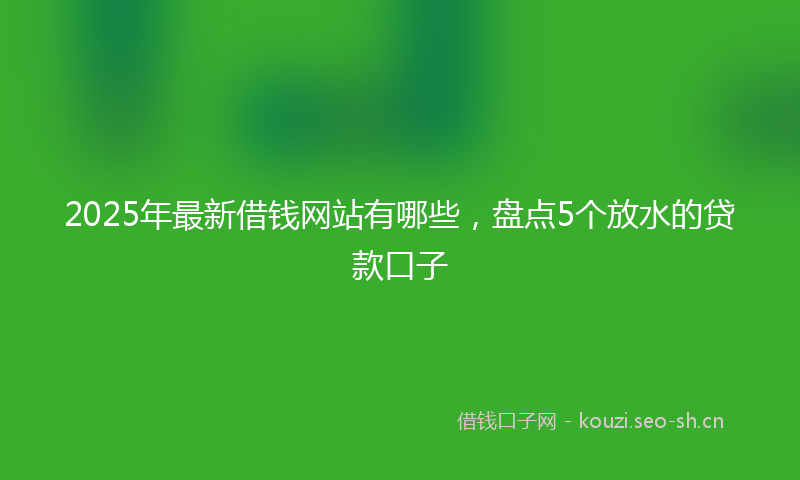 2025年最新借钱网站有哪些，盘点5个放水的贷款口子