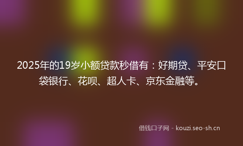 2025年的19岁小额贷款秒借有：好期贷、平安口袋银行、花呗、超人卡、京东金融等。