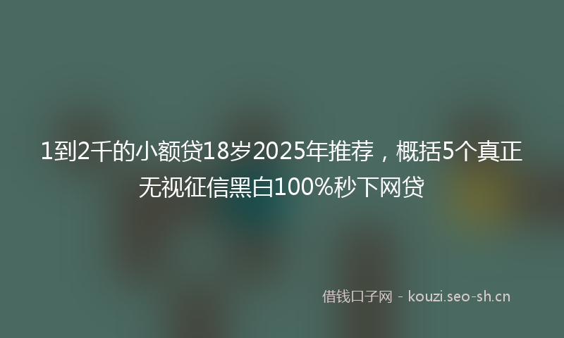 1到2千的小额贷18岁2025年推荐，概括5个真正无视征信黑白100%秒下网贷